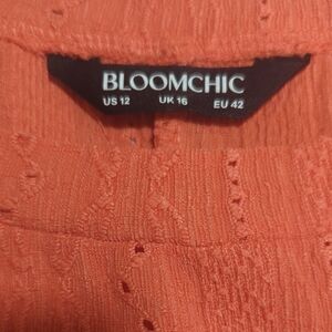 BloomChic Coral Textured Blouse